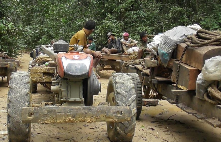 បទយកការណ៍៖ ជនជាតិដើមភាគតិចកួយនៅខេត្តព្រះវិហារ ស្នើអាជ្ញាធរបង្ក្រាបបទល្មើសកាប់ឈើឱ្យមានប្រសិទ្ធភាព