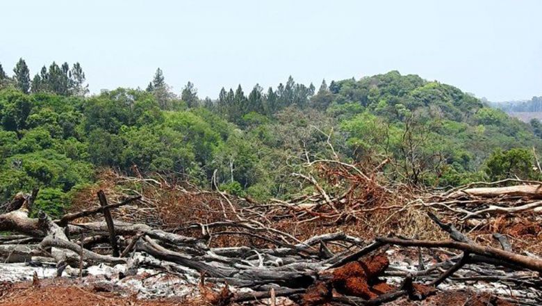  រដ្ឋបាល​ស្រុក​អូររាំង​ កំពុង​បន្តរកមុខ​ជន​ល្មើស​កាប់​រាន​ដីព្រៃ​រដ្ឋ​ជាង ​៥០​ ហិកតា​ឱ្យមក​ទទួល​ខុស​ត្រូវ​ 