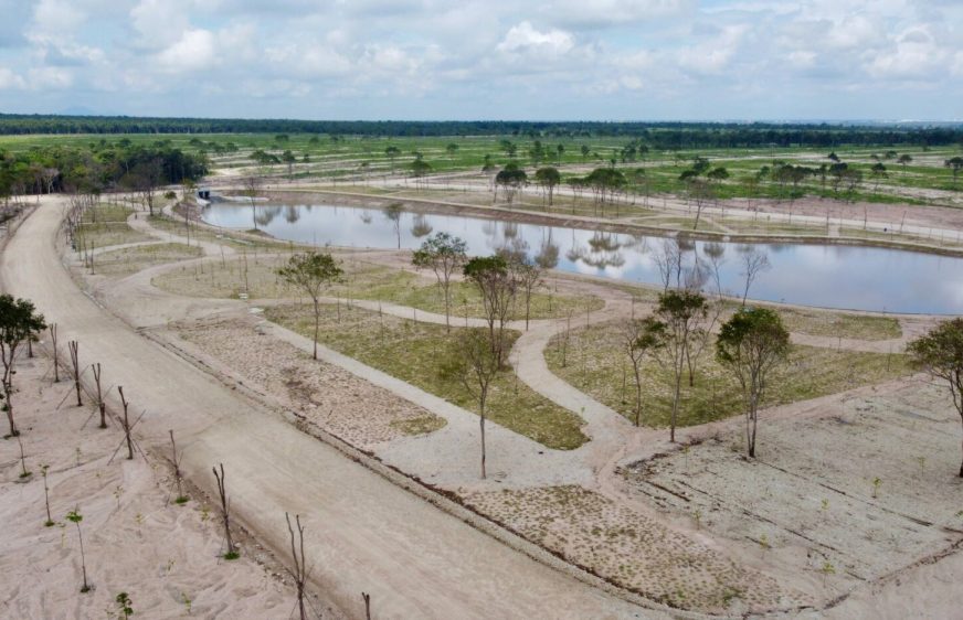 តំបន់​ព្រៃភ្នំតាម៉ៅ​ដែល​បាន​ឈូសឆាយ ត្រូវ​បាន​ប្រែក្លាយ​ទៅ​ជា​ឧទ្យាន