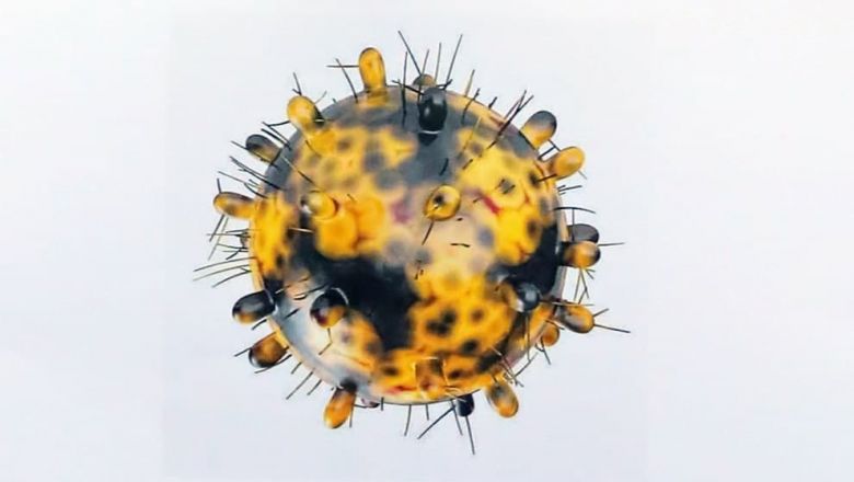 កម្ពុជា​រក​ឃើញ​អ្នក​វិជ្ជ​មាន​មេរោគ​កូវីដ​ ១៩ ​បន្ថែម​​ម្នាក់ទៀត ​និង​ជា​សះ​ស្បើយ​ ៦​ នាក់