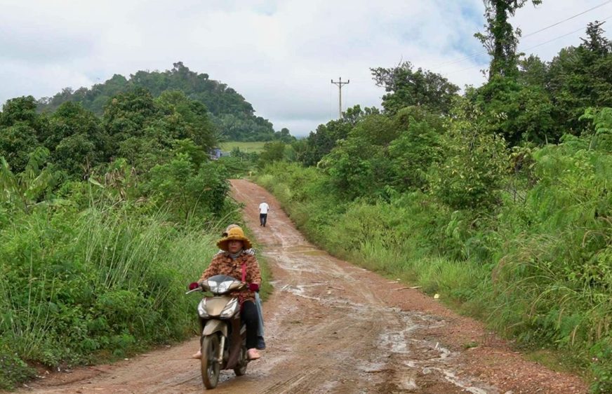 ពលរដ្ឋ​ខេត្តពោធិ៍សាត់ លាតត្រដាង​ពី​សកម្មភាព​ចាប់​សត្វស្វាព្រៃ​ដើម្បី​លក់​រកចំណូល​នៅក្នុងតំបន់