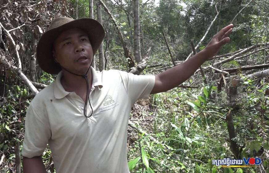 បណ្ដាញសហគមន៍ព្រៃឡង់រកឃើញបទល្មើសចាប់សត្វស្វាលក់អំឡុងពេលពួកគេចុះល្បាត