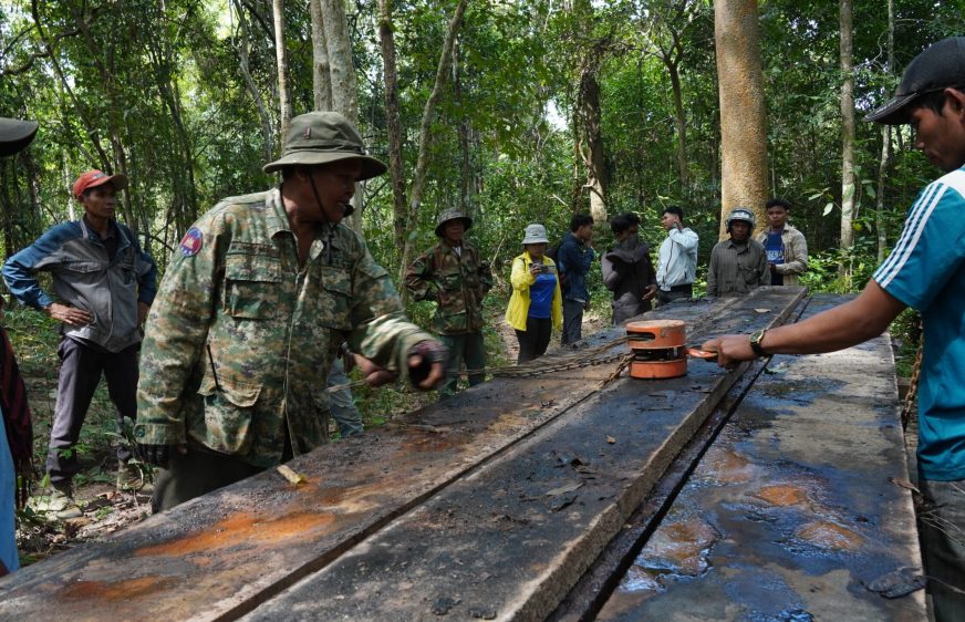 បទយកការណ៍៖ គម្រប​ព្រៃឈើ​ជិត​៦០០ហិកតា​ក្នុង​តំបន់ព្រៃឡង់​ខេត្តស្ទឹងត្រែង​បាន​បាត់បង់​រយៈពេល​១០ខែ​ឆ្នាំ២០២២