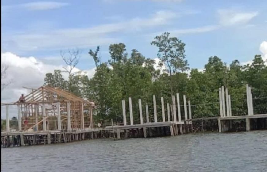 អាជ្ញាធរមូលដ្ឋាន​មិន​ទាន់​ដឹង​ករណី​កាប់​ព្រៃ​កោង​កាង និង​ការ​​​សង់​សំណង់​រឹ​ង​ចូល​សមុទ្រ​ក្នុ​ង​ខេត្ត​កោះ​កុង