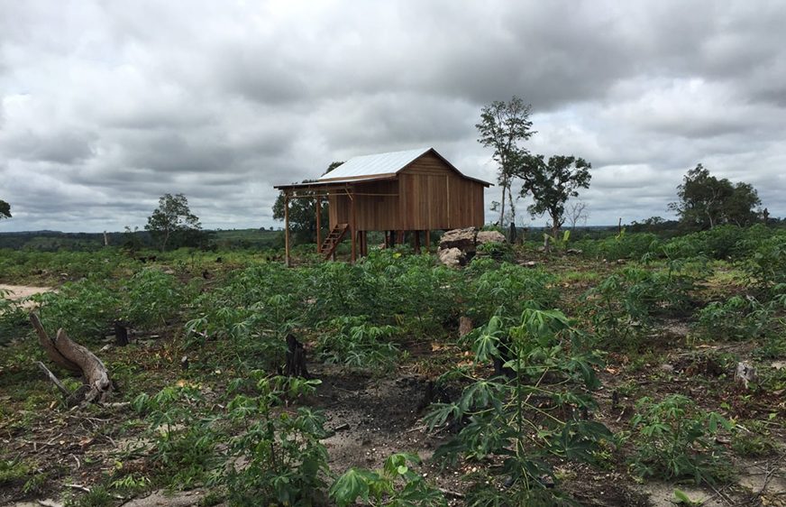 បទល្មើស​ព្រៃឈើ​បន្ត​កើតឡើង​ឥត​ថមថយ​ក្នុង​ព្រៃសហគមន៍​មួយ​ចំនួន​នៅ​ខេត្តក្រចេះ