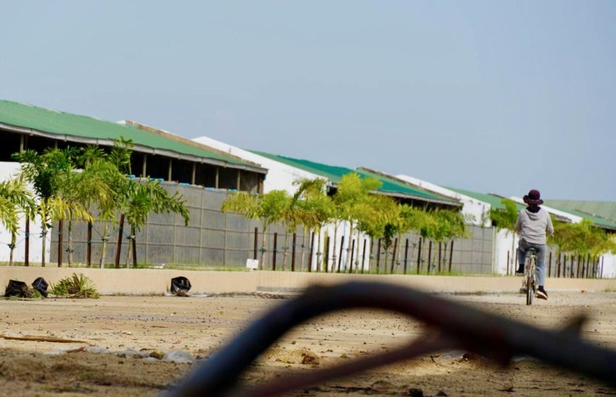 នៅពុំទាន់មានភាពច្បាស់លាស់លើការនាំចេញសត្វស្វាឡើងវិញ ក្រោយមន្ត្រីកម្ពុជារងការចោទប្រកាន់