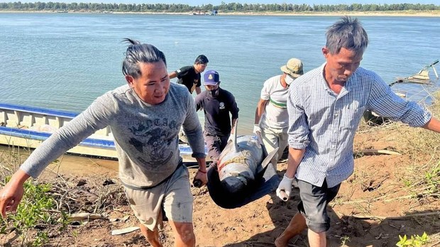 អង្គការ​សង្គមស៊ីវិល​ប្រកាស​អាសន្ន ការ​ស្លាប់​សត្វផ្សោត​ទន្លេ​មេគង្គ​ជាង ១០​ក្បាល​ទៀត​ក្នុង​ឆ្នាំ ២០២២