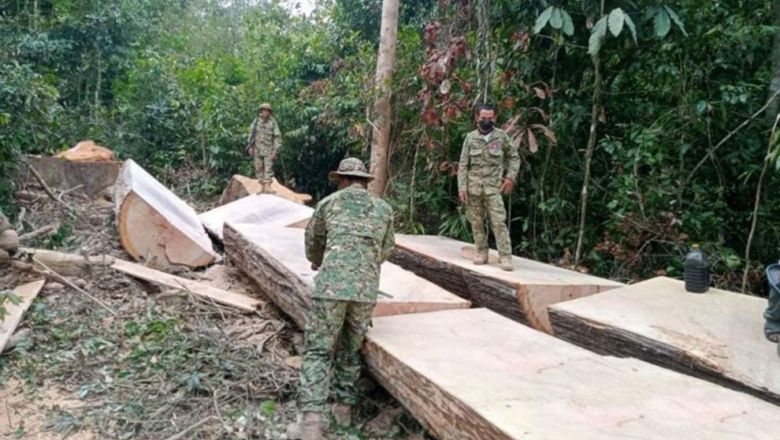 អាវុធហត្ថ​ខេ​ត្តរ​ត​ន​គិ​រីថា នឹង​​ចាត់​វិ​ធាន​ការ​តាម​ច្បា​ប់​ ចំពោះគំនរឈើដែល​សមត្ថកិច្ច​បាន​រកឃើញ​