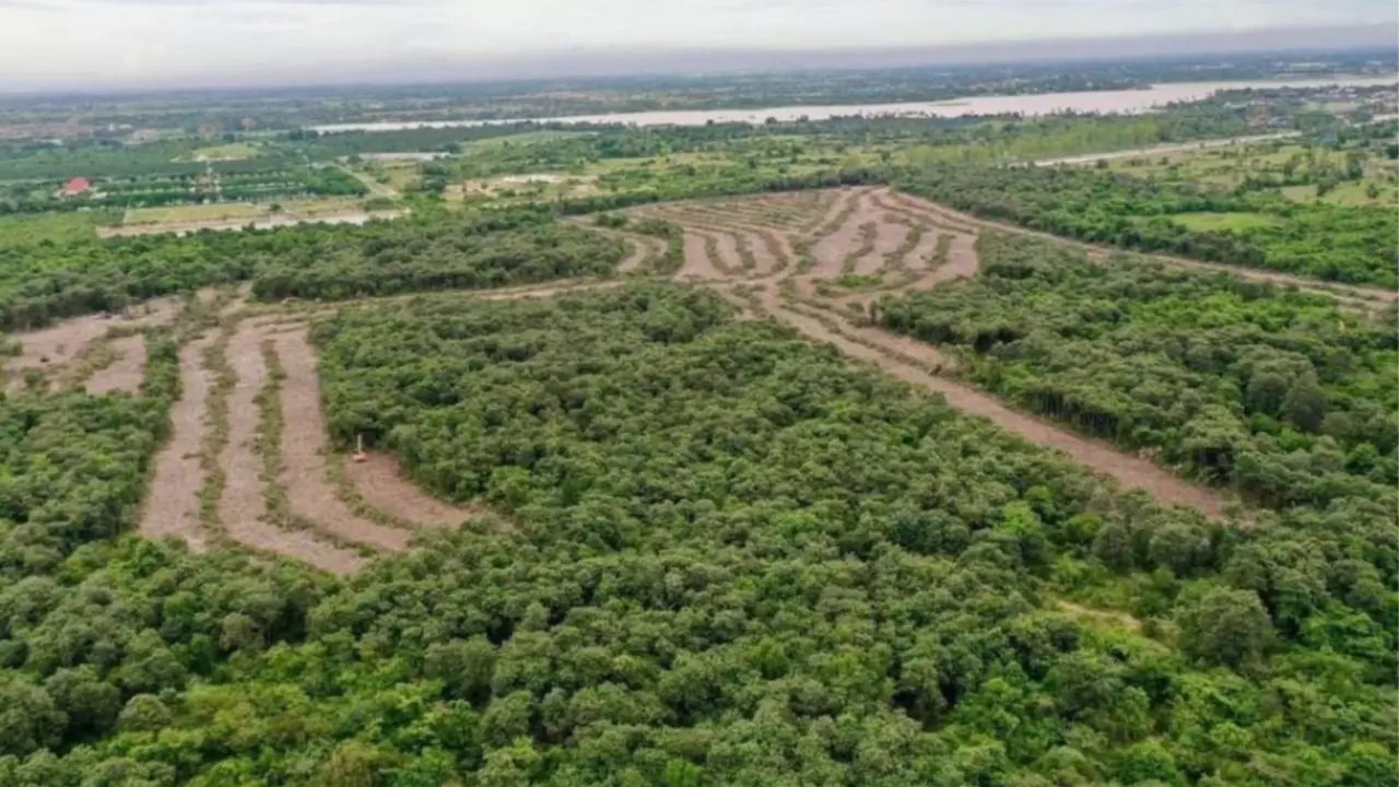 អ្នកធ្វើកិច្ចការងារបរិស្ថានសាទរ ខណៈការដាំកូនឈើនៅតំបន់ភ្នំតាម៉ៅរួចរាល់លើដីជាង៥០០ហិកតា