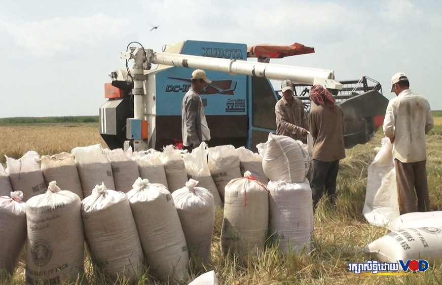 រដ្ឋបញ្ចេញប្រាក់ជិត១០០លានដុល្លារដល់រោងម៉ាស៊ីនកិនស្រូវនិងក្រុមហ៊ុនកែច្នៃនាំអង្ករចេញ ដើម្បីជួយរក្សាស្ថិរភាពតម្លៃស្រូវជូនកសិករ