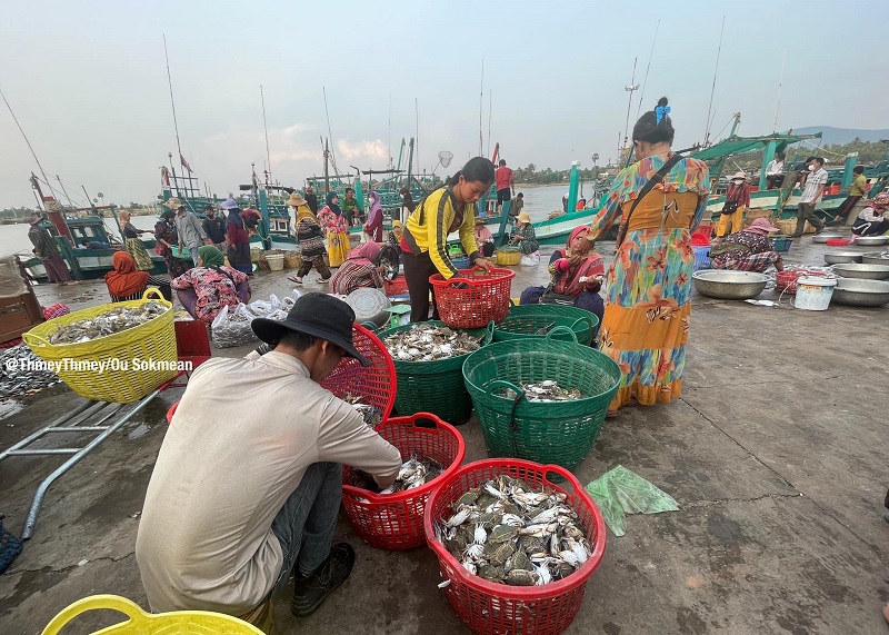 ADB អនុម័តកញ្ចប់ថវិកា៧៣លានដុល្លារដល់កម្ពុជា ដើម្បីនិរន្តរភាពនៃវិស័យជលផល​សមុទ្រ