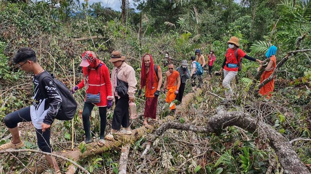  ព្រៃឈើ​នៅ​តំបន់​អារ៉ែង​៥​ហិកតារ ត្រូវ​បាន​កាប់​បំផ្លាញ