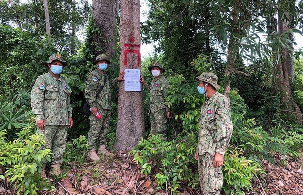  អាជ្ញាធរ​អប្សរា និង​មន្ត្រី​រដ្ឋបាល​ព្រៃឈើ​រង​ការ​ចោទ​ថា ខ្វះចន្លោះ​អភិរក្ស​ព្រៃឈើ​ក្នុង​តំបន់​ឧទ្យាន​អង្គរ