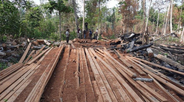 មន្ត្រី​បក្ស​ប្រឆាំង​រិះគន់​ការ​តែងតាំង​កូនប្រុស​បង្កើត​លោក ជា សុផារ៉ា នៅ​ក្រសួង​ដែនដី​បន្ទាប់ពី​ឪ