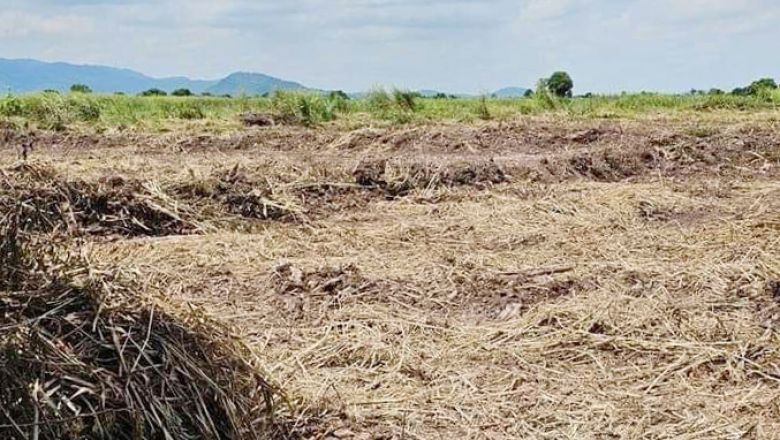 លោក ​ឌឹ​ម សុ​វណ្ណា​រុំ​៖​ អ្នក​ណែនាំ​ឱ្យ​ប្រជាពលរដ្ឋ​គូស​សន្លឹកឆ្នោត​ចោល​នៅពេល​ទៅ​បោះឆ្នោត នឹងត្រូវ​ផ្តន្ទាទោស​តាមច្បាប់​