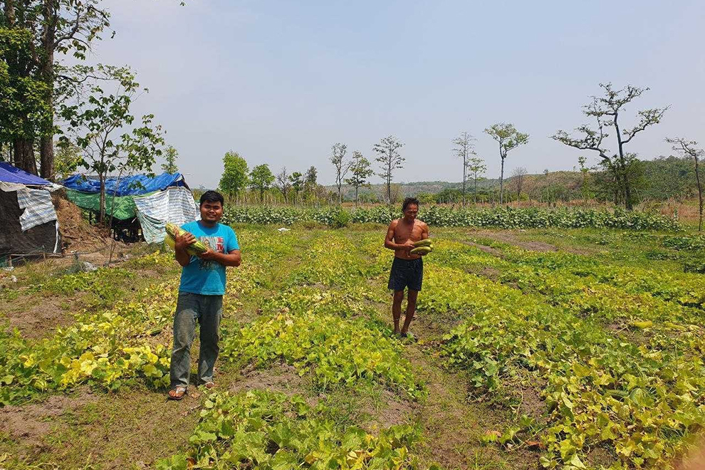 មន្ត្រី​បច្ចេកទេស​កសិកម្ម​នឹង​ត្រូវ​ដាក់​ពង្រាយ​នៅ​គ្រប់​ឃុំ​សង្កាត់​នៃ​ខេត្ត CLV-DTA